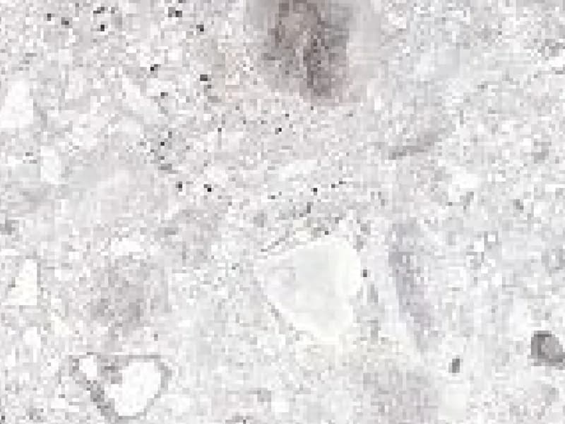 Breccia light